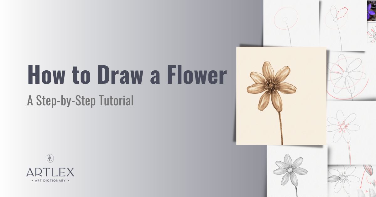 How to Draw a Daisy From Easy Simple Shapes
