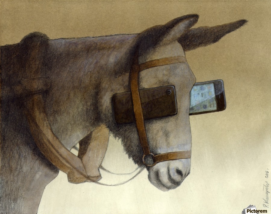 blinkers by Pawel Kuczynski