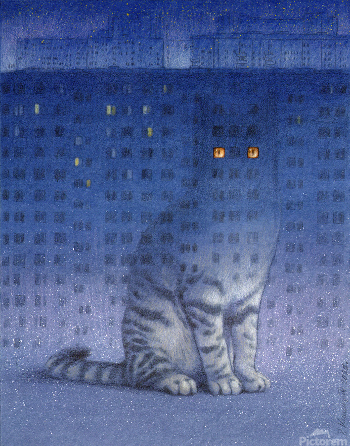 insomnio de Pawel Kuczynski