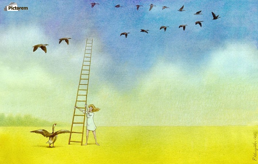 summer s end by Pawel Kuczynski