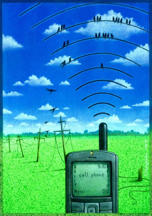 wireless by Pawel Kuczynski
