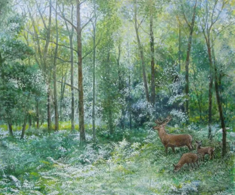 "Woodland Shade" by Stephen Darbishire 