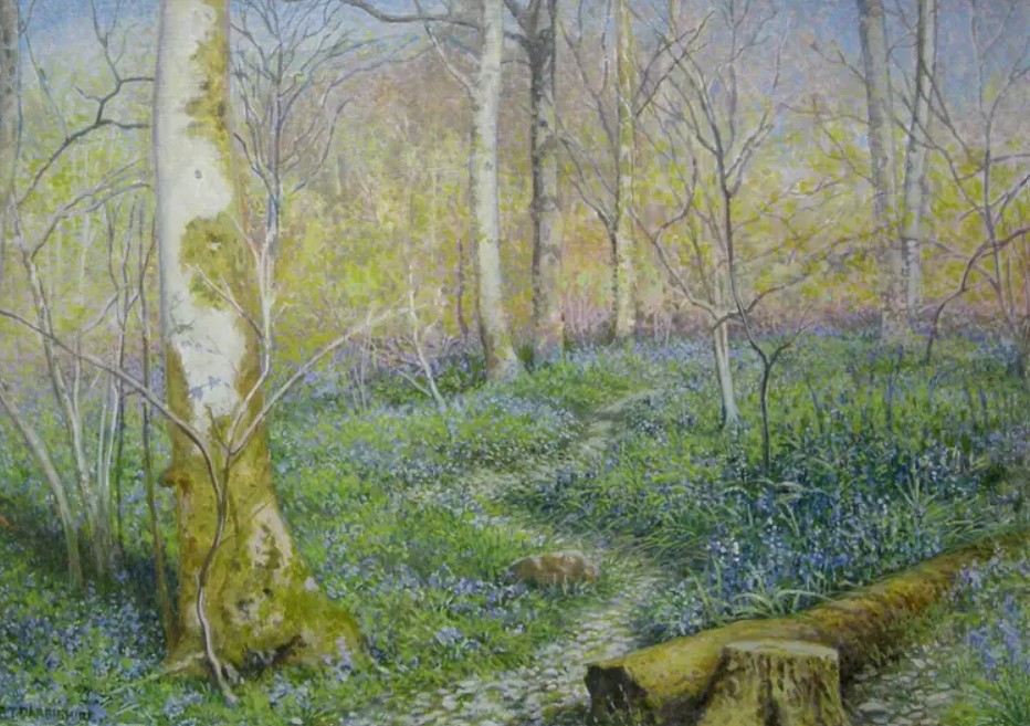 "Bluebell Wood" by Stephen Darbishire 