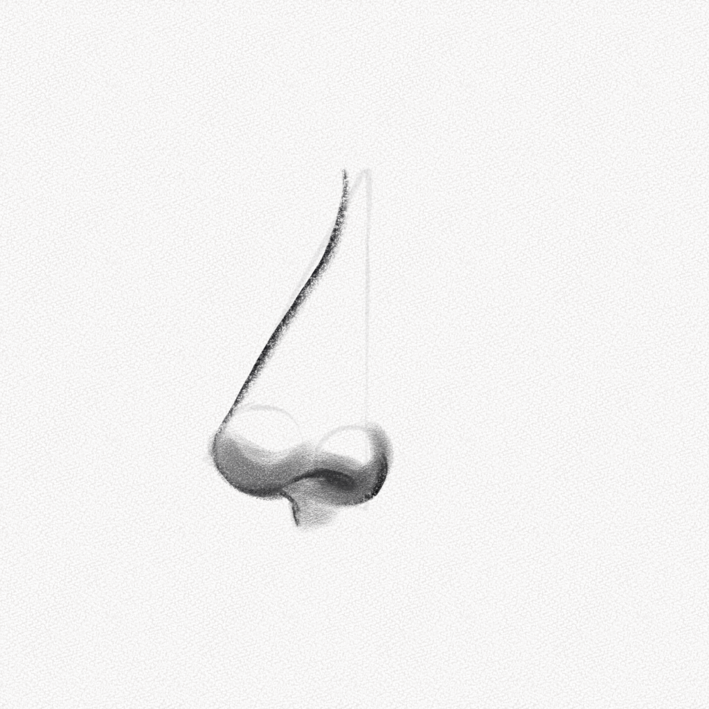 drawing nose