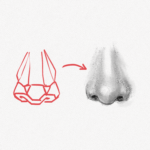 How To Draw A Nose – Step-by-Step Guide – Artlex