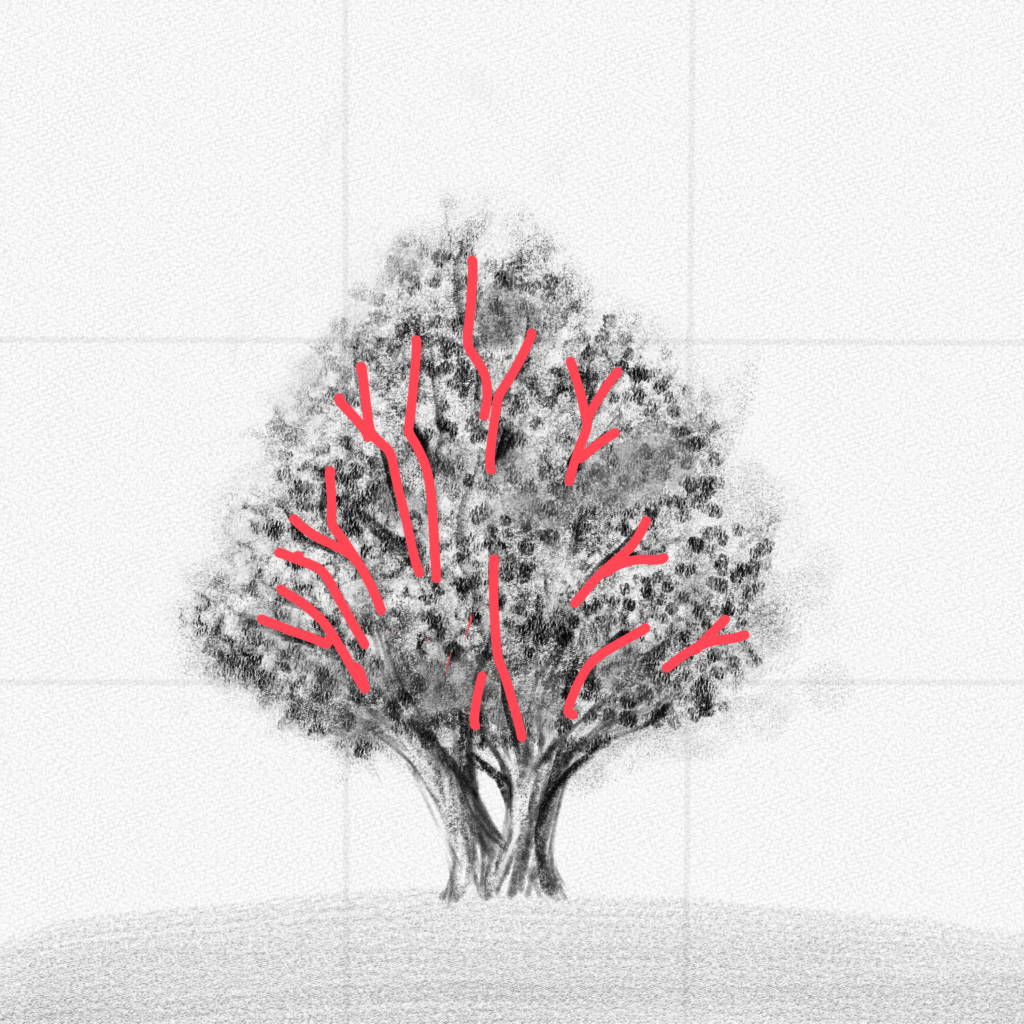 Cómo dibujar un árbol – Una guía paso a paso – Artlex
