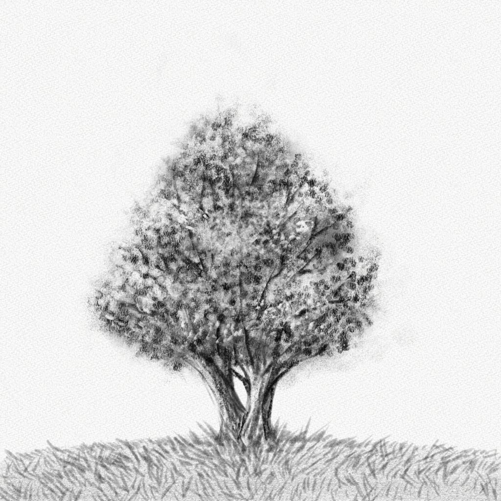 Un árbol dibujado con lápiz de grafito