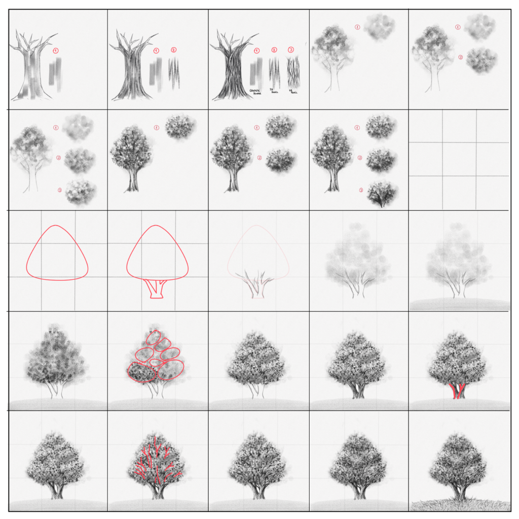 Apprendre à dessiner un arbre en 3 étapes