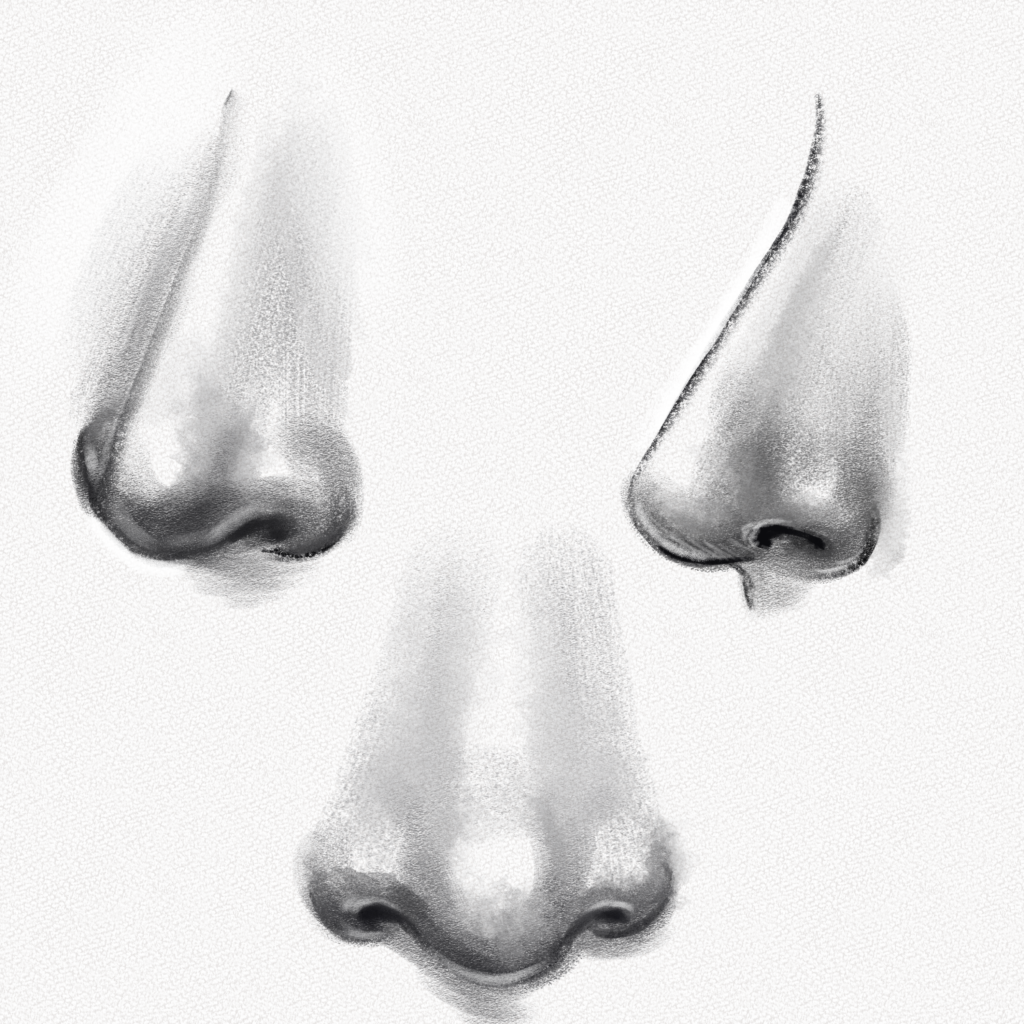 How To Draw Noses, Step by Step, Drawing Guide, by Dawn - DragoArt