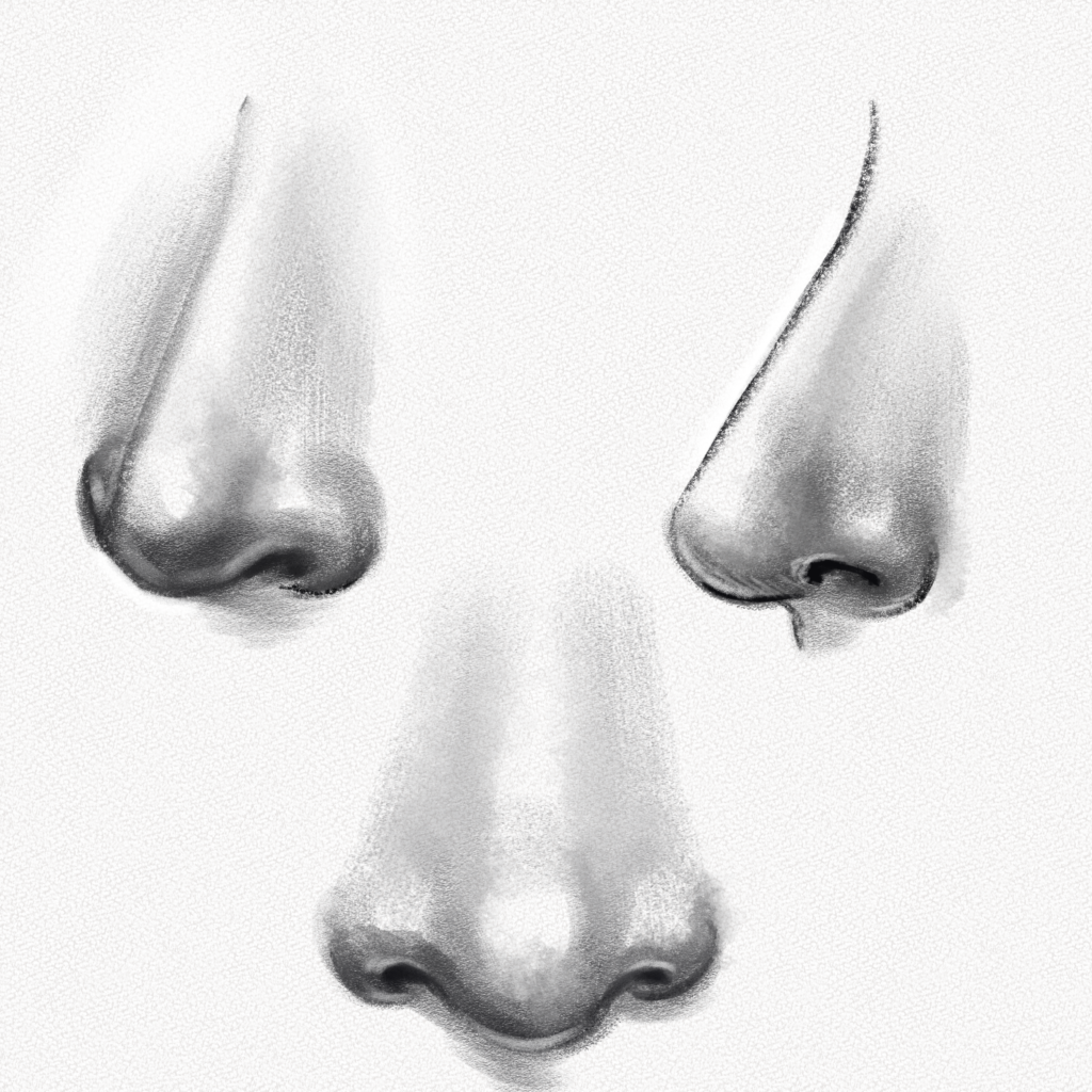 how to draw a female nose step by step