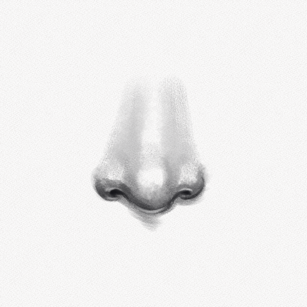 Nose Drawing Reference and Sketches for Artists