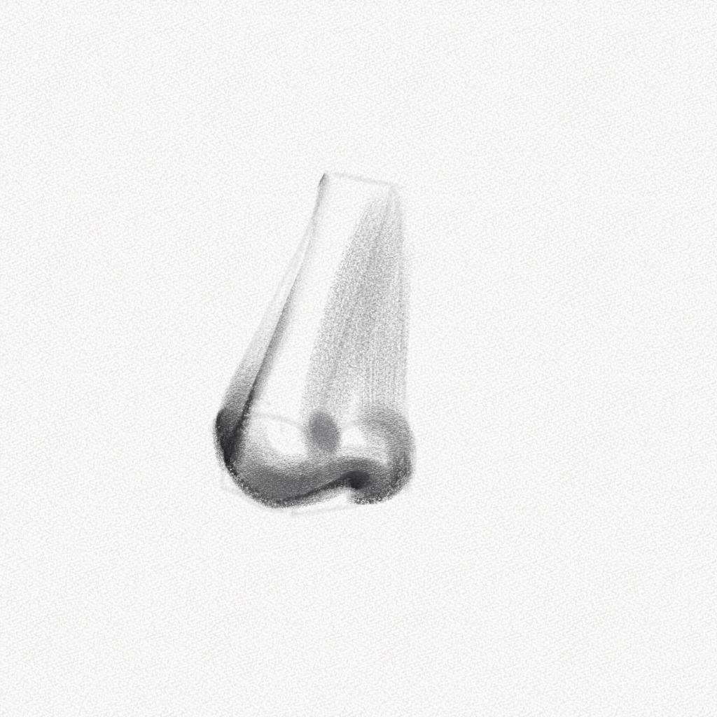 how to draw a realistic human nose