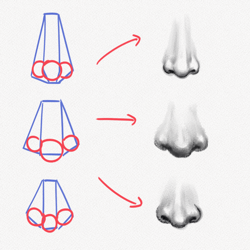 How to Draw a Realistic Nose in 6 Easy Steps