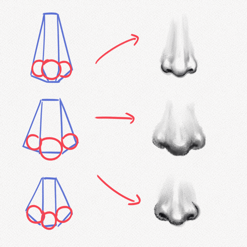 how to draw a female nose step by step