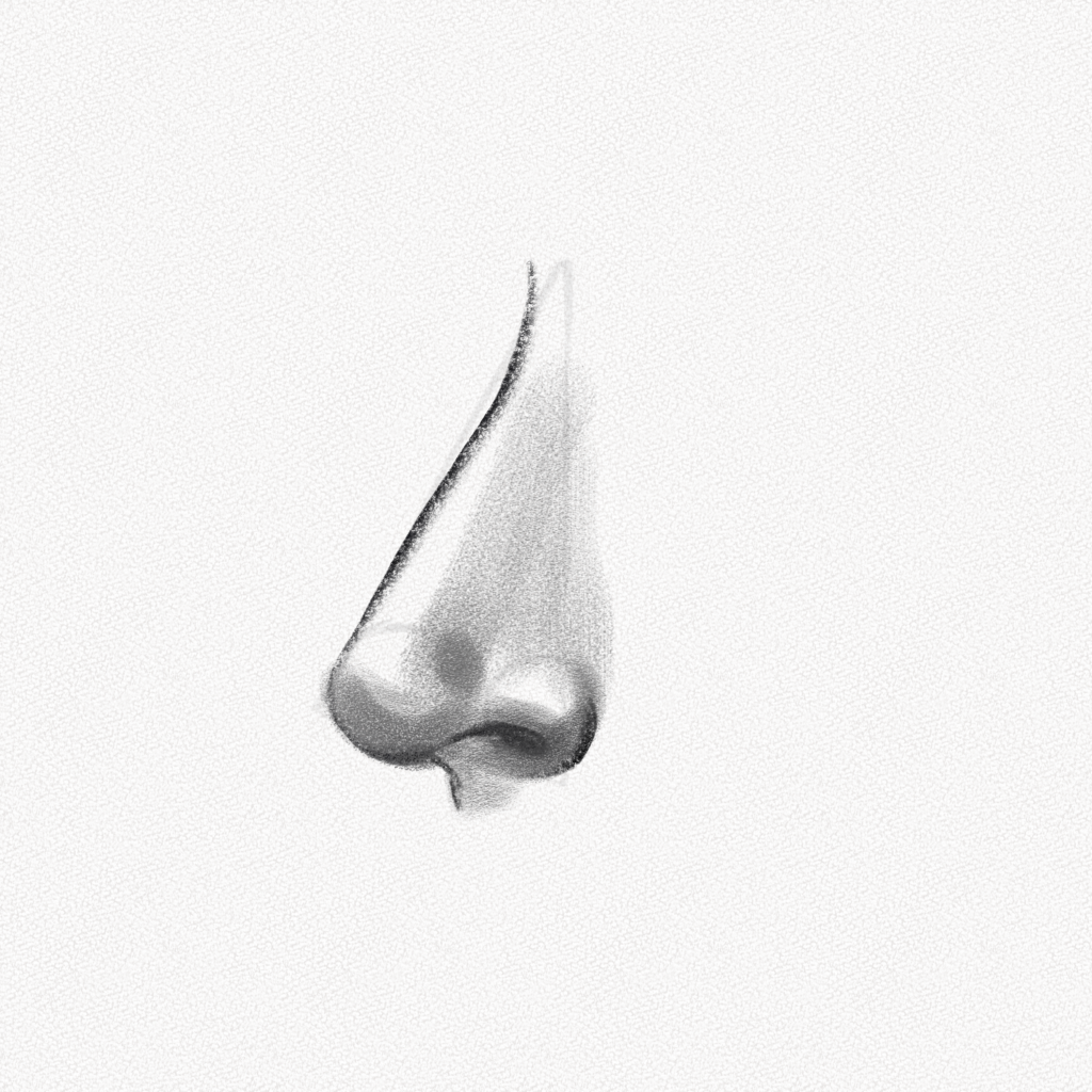 Nose Illustration