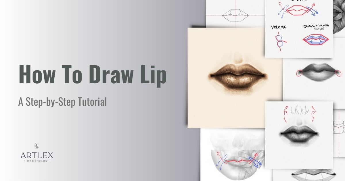 How to draw a mouth and lips  Art Rocket