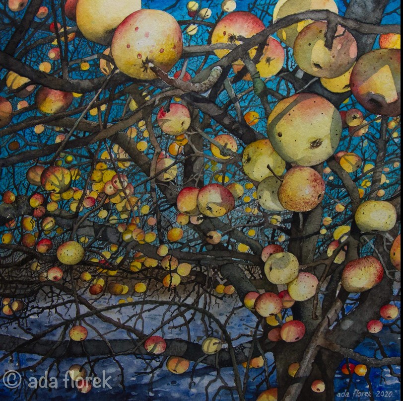 "Apple tree" by Ada Florek