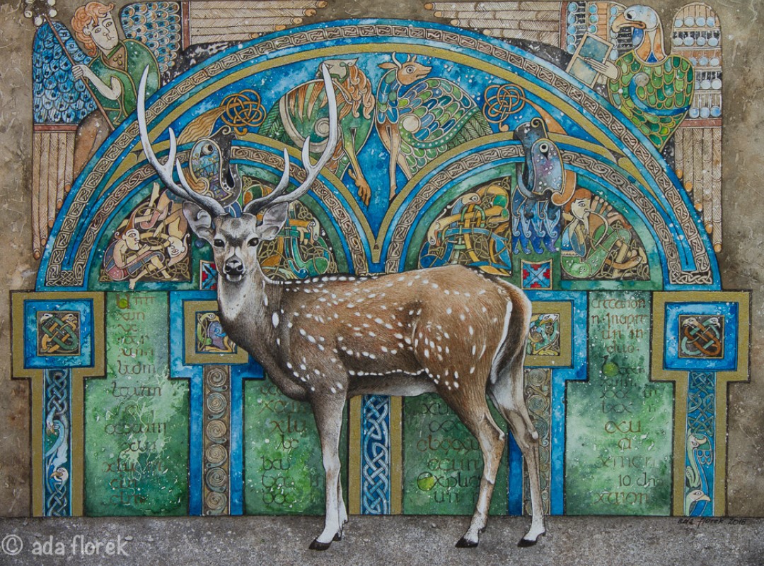 "Axis deer" by Ada Florek