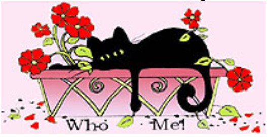 "Who Me Kitty" by Kathy Kelly 