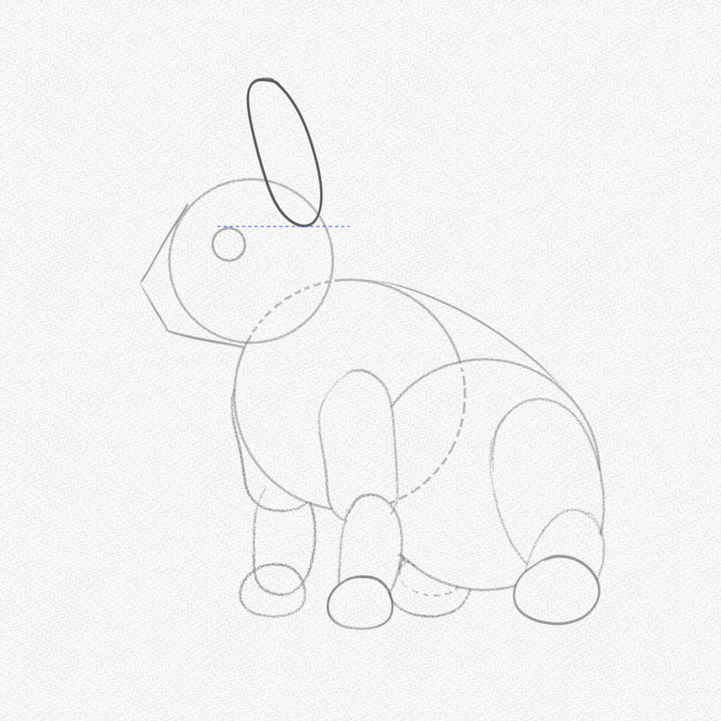 Cómo dibujar un conejo: una guía paso a paso – Artlex
