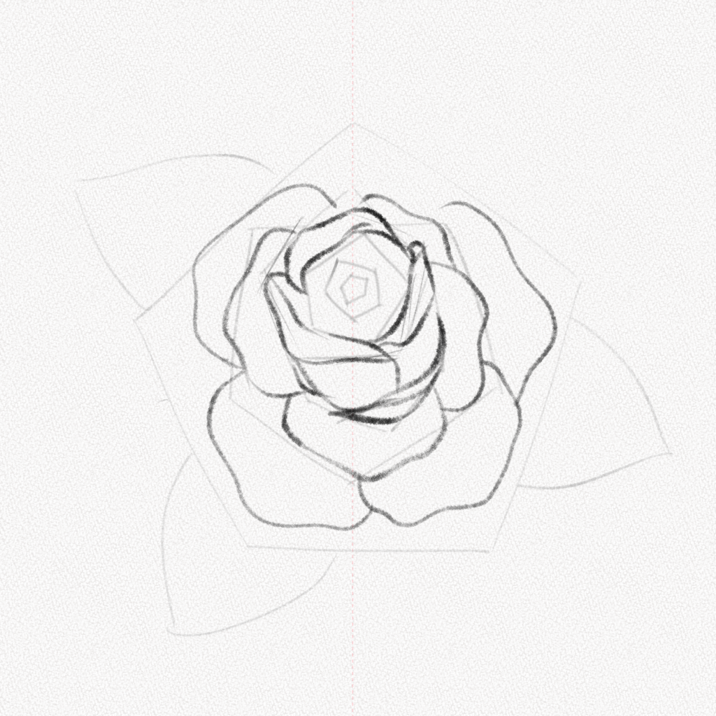 Cómo dibujar una rosa  Tutorial paso a paso  Artlex