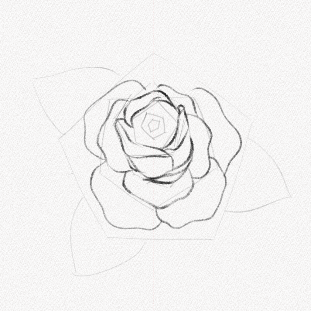 How to draw a rose: easy step-by-step rose drawing