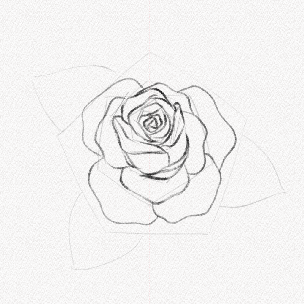 Cómo dibujar una rosa – Tutorial paso a paso – Artlex