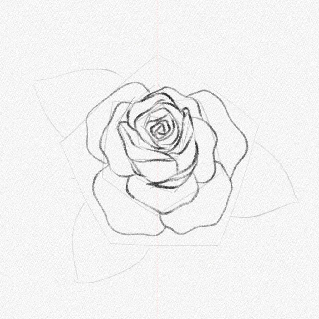 Rose Drawing - How To Draw A Rose Step By Step