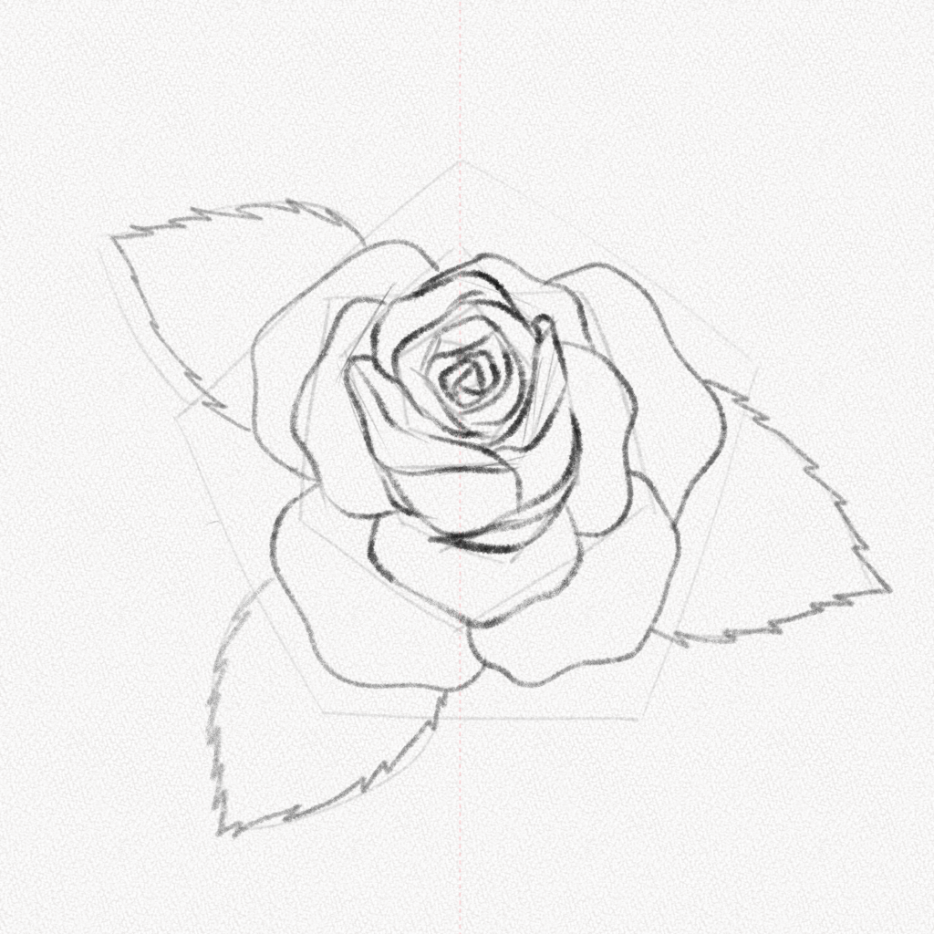 Drawings of roses: How to draw a rose - Step by step tutorial (3 ways)