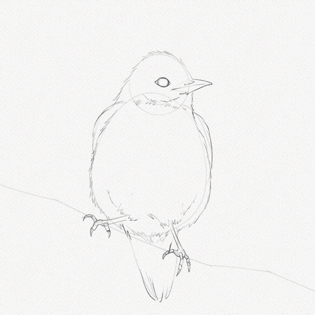 Pencil Sketch of Bird - Desi Painters