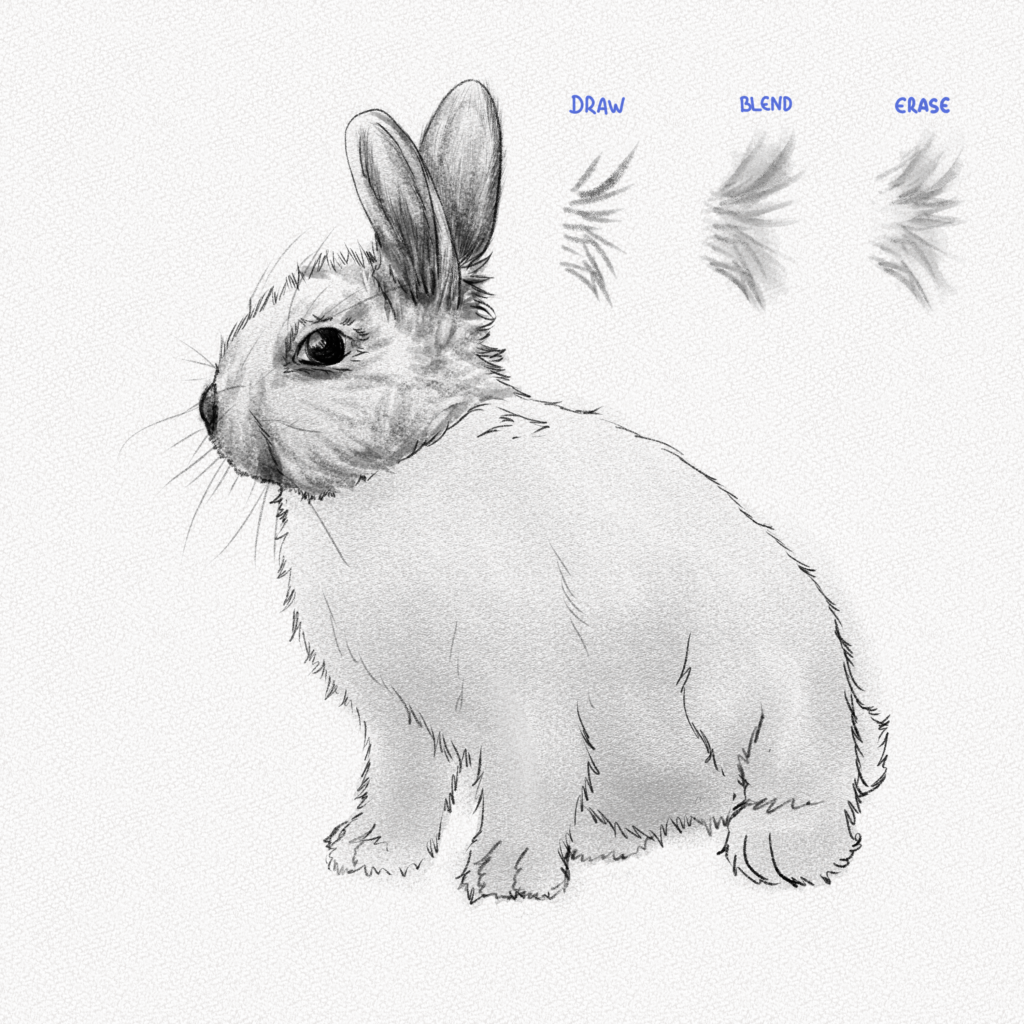 Rabbit Drawing for Kids - HelloArtsy-nextbuild.com.vn