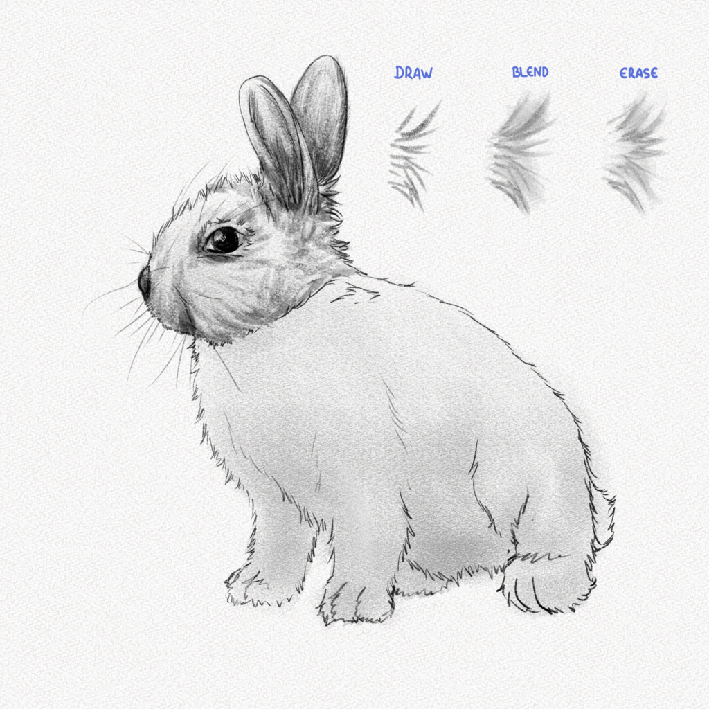 Sooo cute rabbit is here🐰#drawing #easydrawing #drawingtutorial #howt... |  TikTok