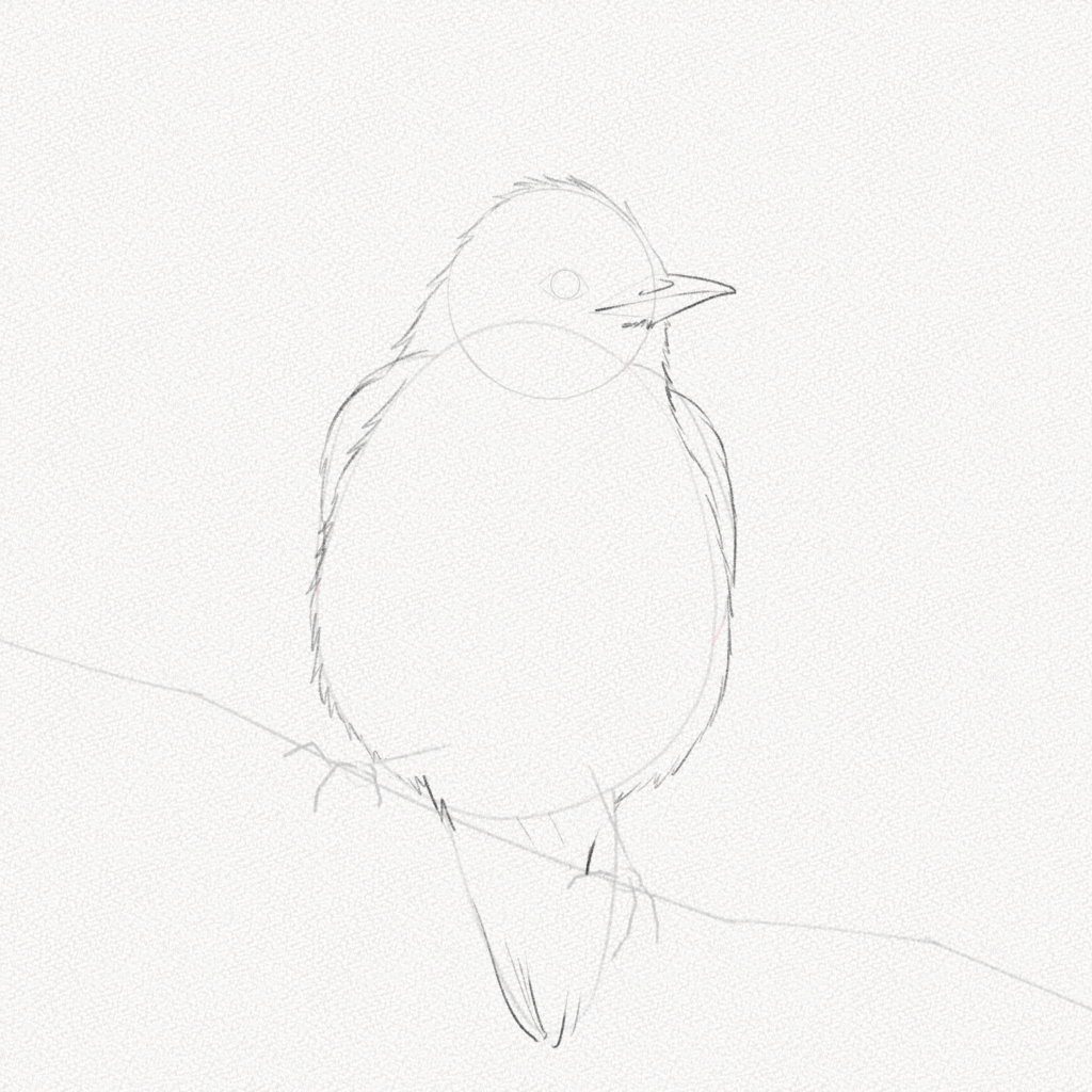 Cómo dibujar un pájaro – Tutorial paso a paso – Artlex