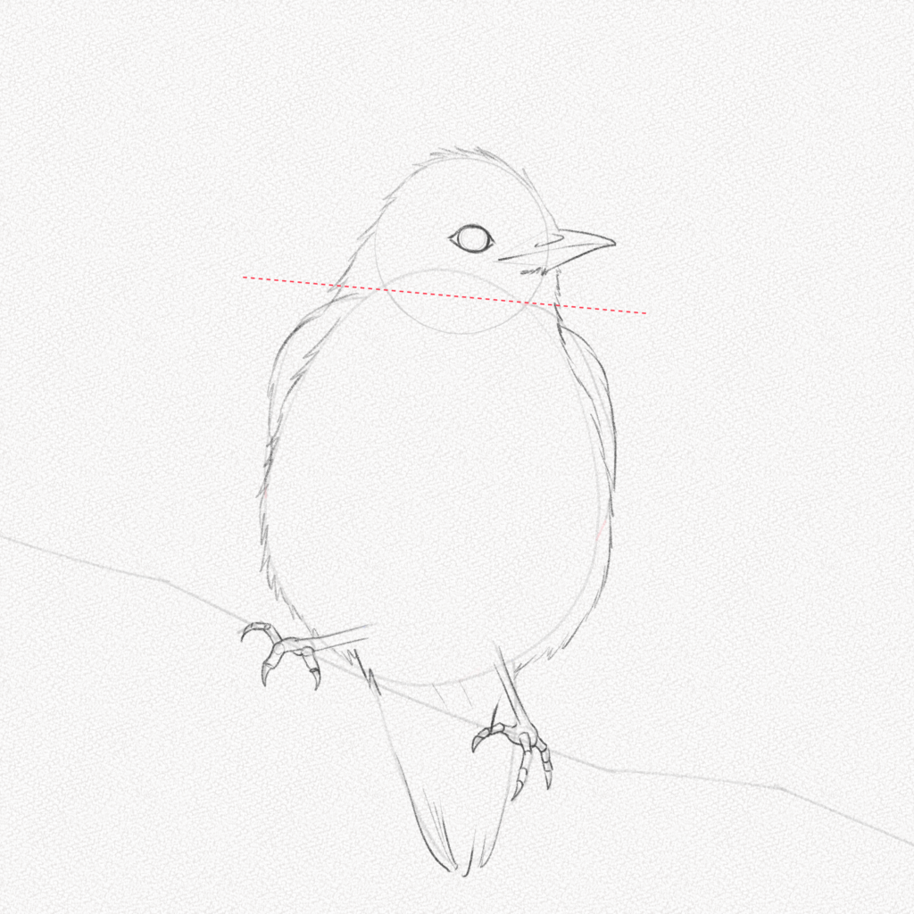 Cómo dibujar un pájaro – Tutorial paso a paso – Artlex