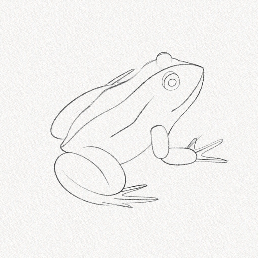 Comment dessiner une grenouille - Blog - Dessindigo