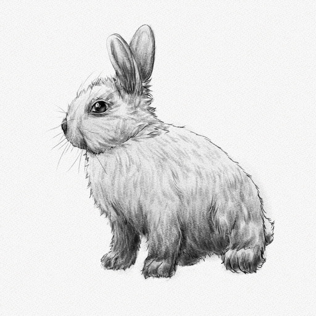 rabbit art