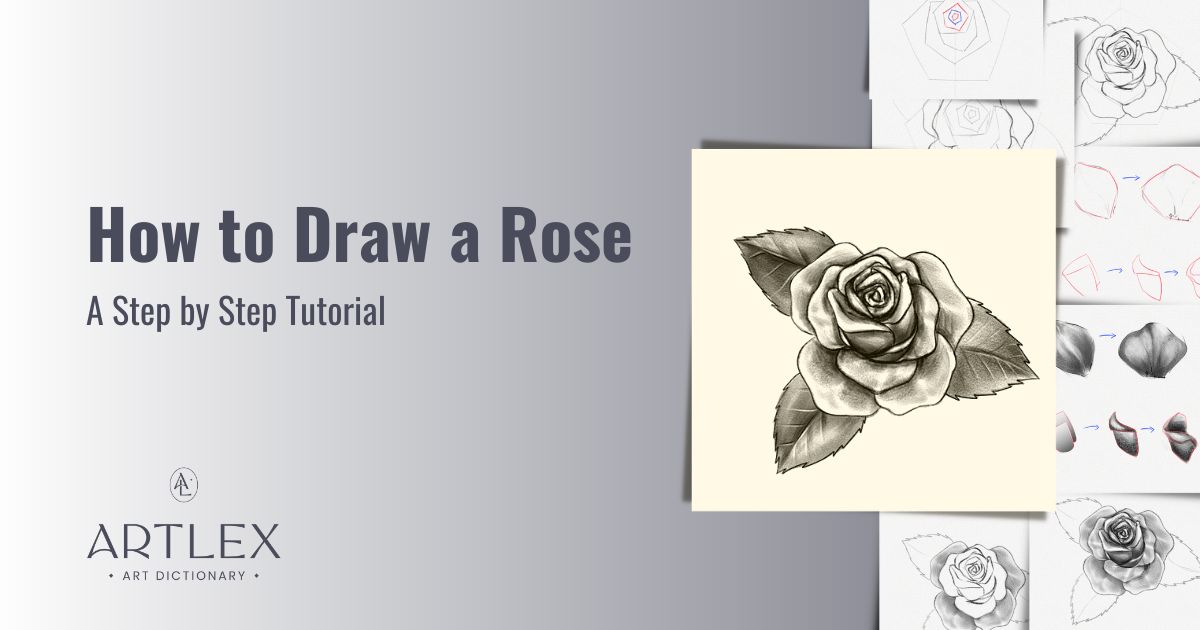 How to Draw a Rose - Learn 3Three Rose Drawings Step by Step