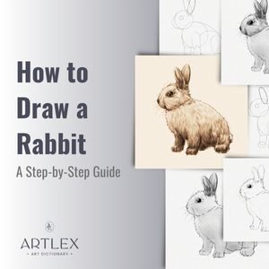 How to Draw a Rabbit A Step-by-Step Guide