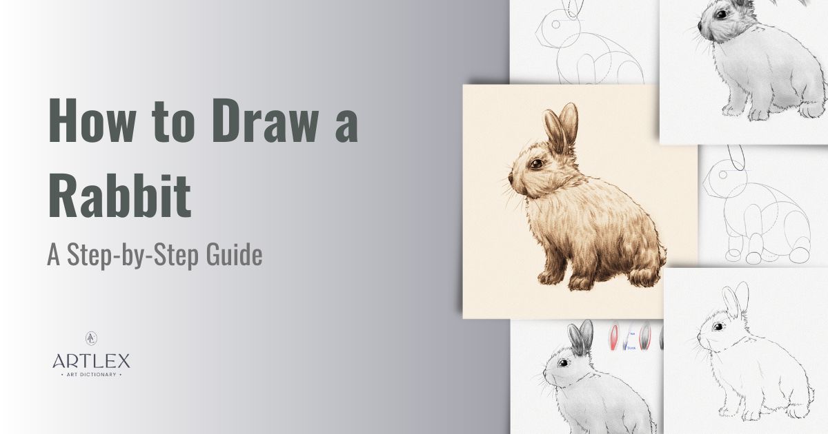 How to Draw a Rabbit A Step-by-Step Guide - rec