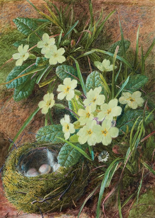 "Still life of a bird's nest and primroses " by George Clare