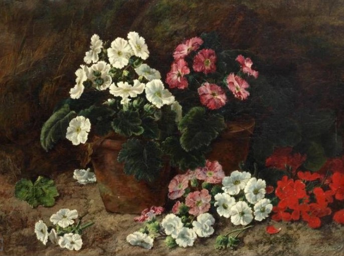 « Nasturtiums blancs, roses et rouges » par George Clare