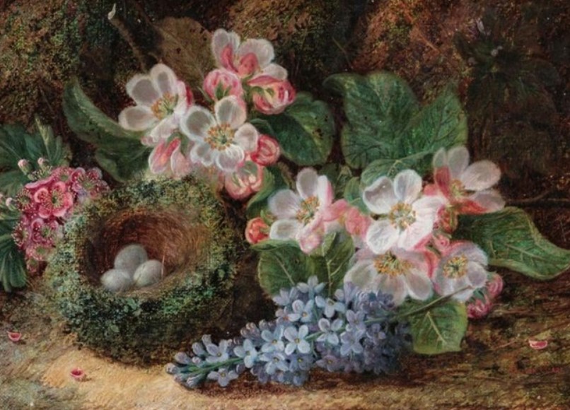 « Bird’s Nest Among Spring Flowers » par Oliver Clare