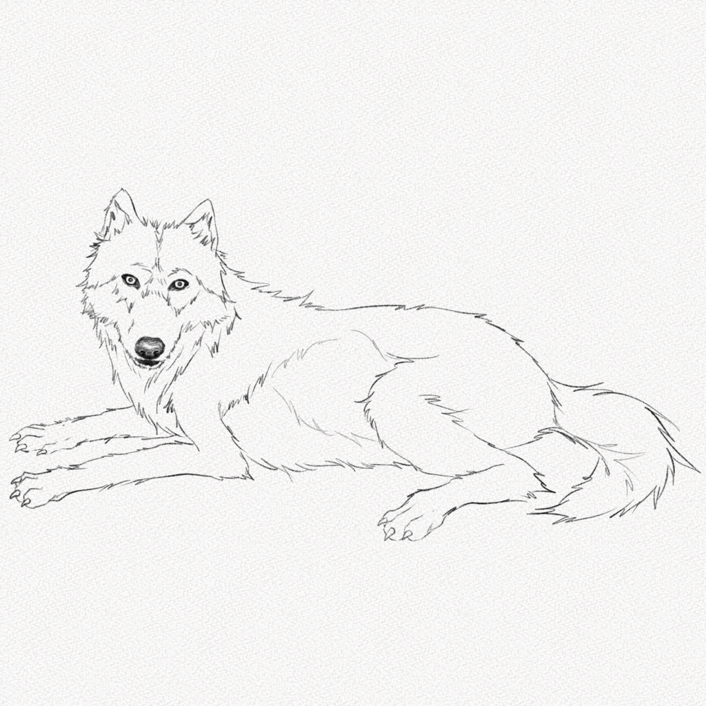 Wolf Laying Down - Back View By Xxkat2008Xx On Deviantart
