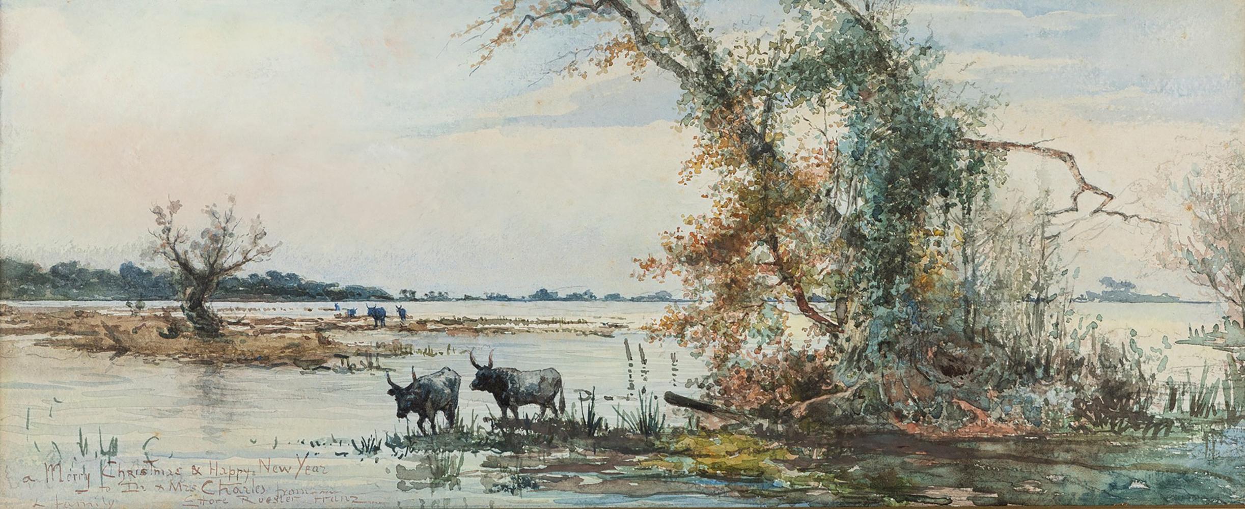 "Buffaloes in the swamp" by Ettore Roesler Franz