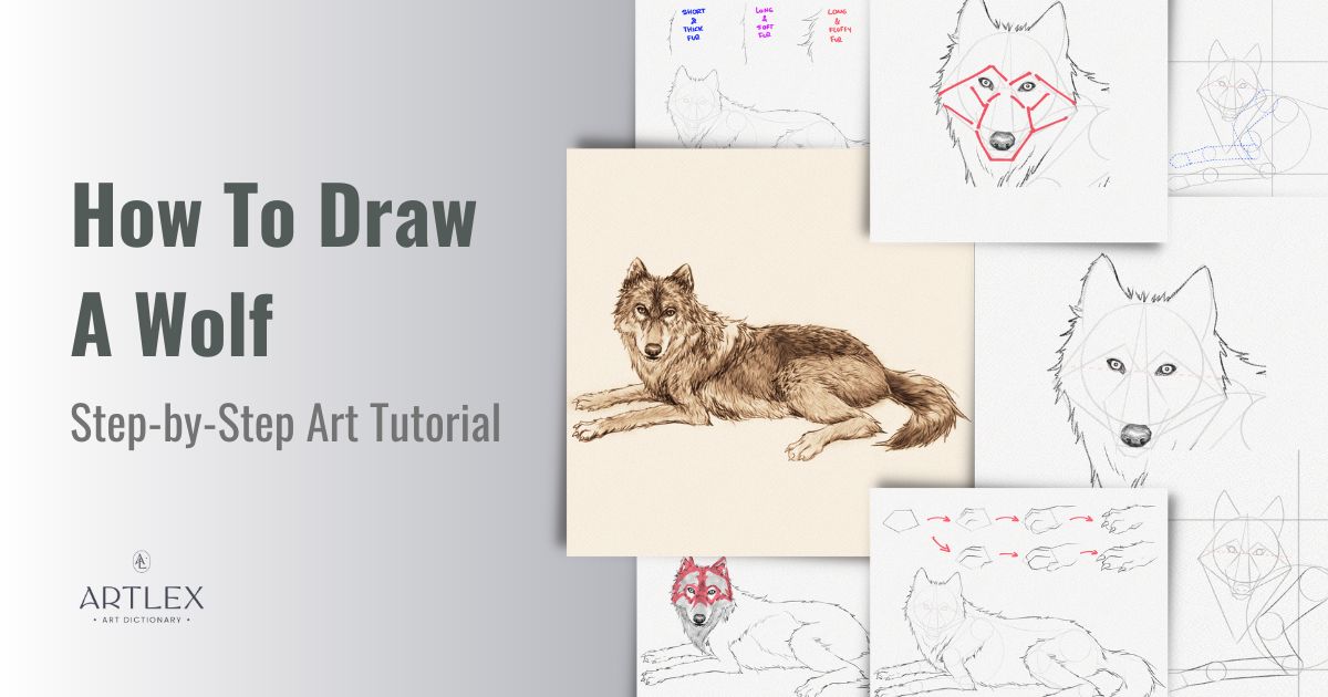How To Draw A Wolf – A Step-by-Step Tutorials