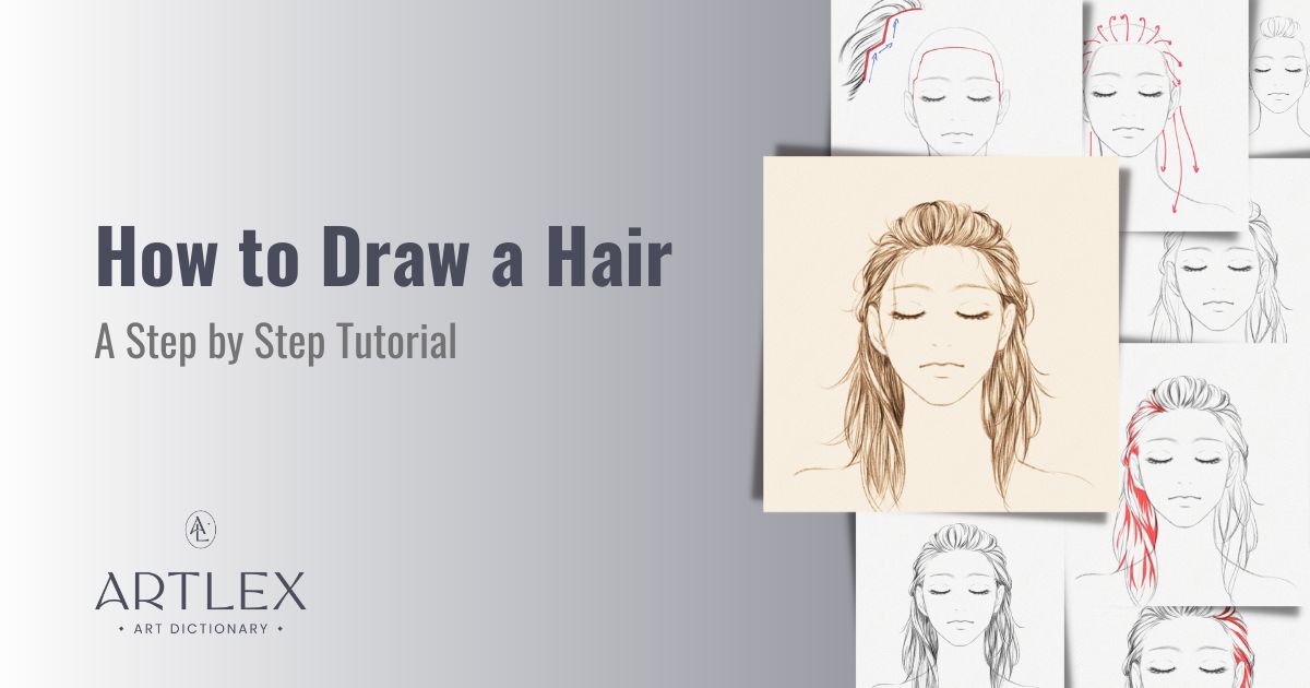 How to Draw Hair  Art Rocket