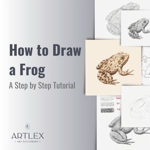 How to Draw a Frog – A Step by Step Tutorial