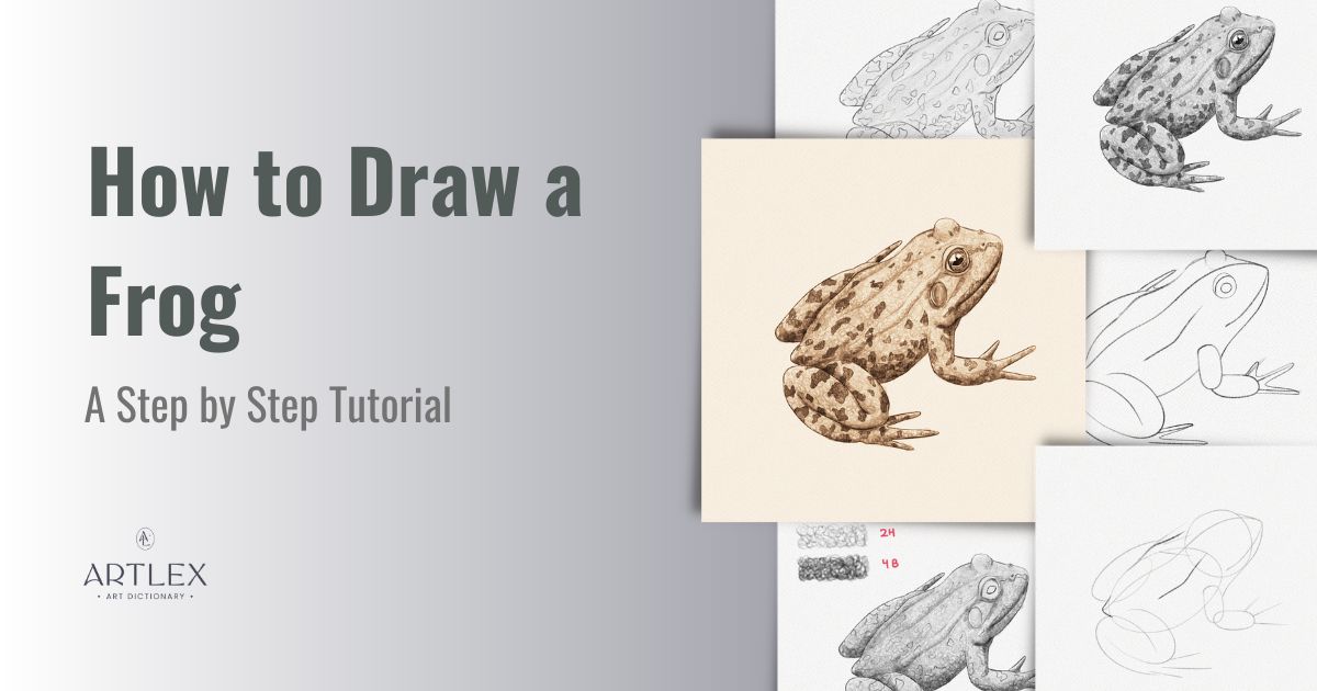 How to Draw a Frog – A Step by Step Tutorial - rec