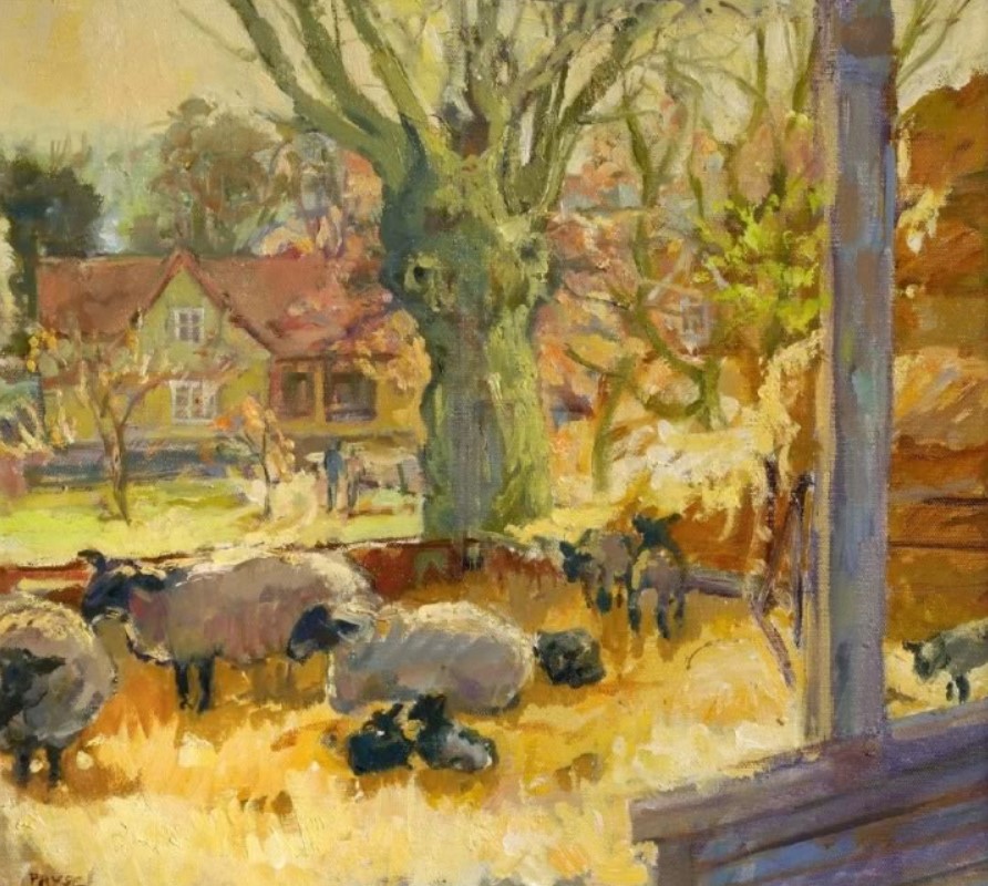 "Lambs in February Oil on linen" by Tessa Spencer Pryse