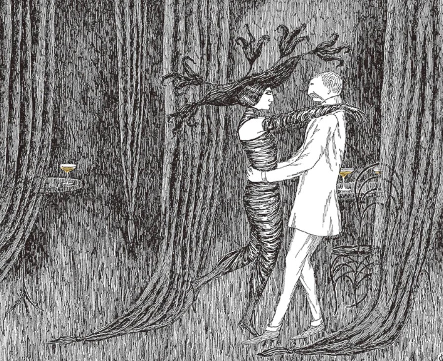 « Rencontres rapprochées » par Edward Gorey